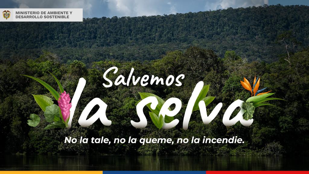 Ministerio de Ambiente y Desarrollo Sostenible lanza la campaña: “Salvemos la Selva”
