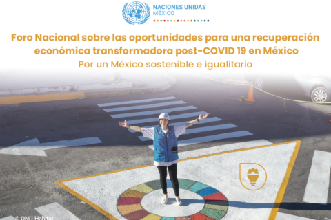 Foro Nacional de la ONU México identifica oportunidades para una recuperación socioeconómica transformadora post COVID-19