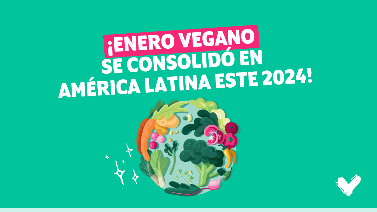 Campaña Enero Vegano se consolida en México con exitosos resultados